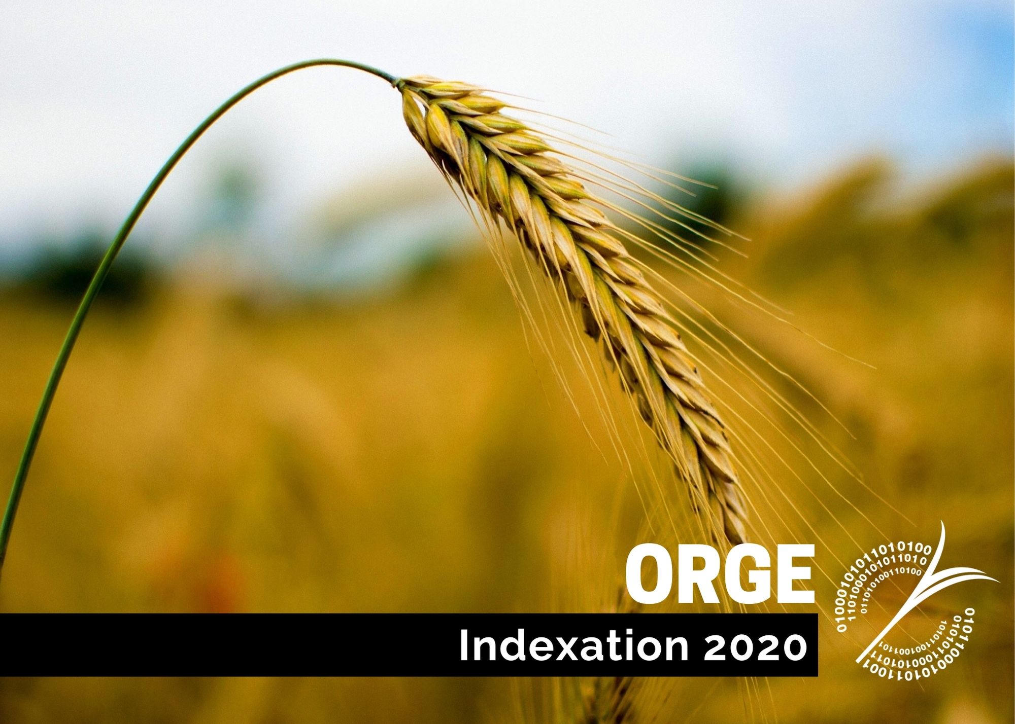 Récentes publications : Indexation 2020 -Orge